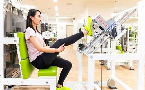 GLUTEUS 4D-1000 GLUTEUS 4D-1000