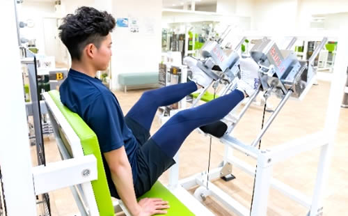 GLUTEUS 4D-1000 使用例 GLUTEUS 4D-1000 使用例