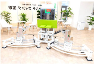 MULTI DIMENSIONAL HIPJOINT 4D-5000